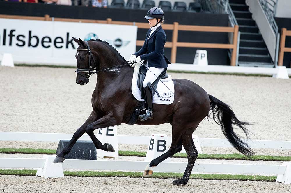 Carl Hester And Charlotte Dujardin Schlagen Zu Van Olst Horses